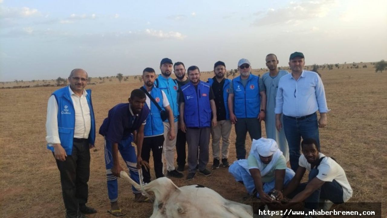 Moritanya’da Bir Kurban, Bin Umut: Almanya’dan Afrika’ya Kardeşlik Köprüsü