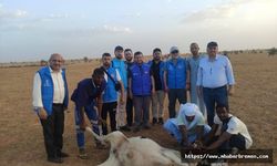 Moritanya’da Bir Kurban, Bin Umut: Almanya’dan Afrika’ya Kardeşlik Köprüsü