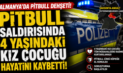 Almanya'da Pitbull Dehşeti: 4 Yaşındaki Kız Çocuğu Hayatını Kaybetti