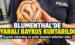 Bremen’de Yaralı Baykuş İçin Seferber Oldular