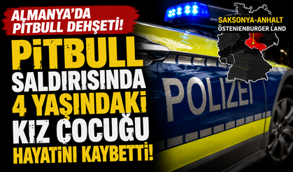 Almanya'da Pitbull Dehşeti: 4 Yaşındaki Kız Çocuğu Hayatını Kaybetti