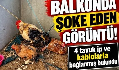 BALKONDA ŞOKE EDEN GÖRÜNTÜ!