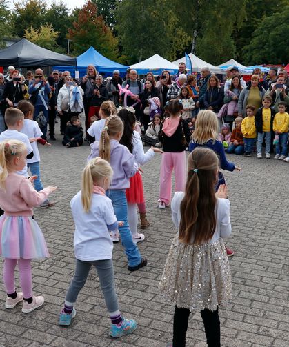 Delmenhorst’ta ‘’Düsternort şenliği’’ düzenlendi