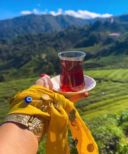 Milletvekili Çolak: ''Rize'nin çayı dünyanın en iyisi''