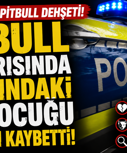Almanya'da Pitbull Dehşeti: 4 Yaşındaki Kız Çocuğu Hayatını Kaybetti