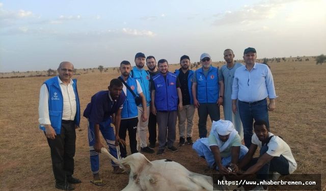 Moritanya’da Bir Kurban, Bin Umut: Almanya’dan Afrika’ya Kardeşlik Köprüsü