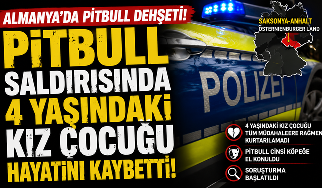 Almanya'da Pitbull Dehşeti: 4 Yaşındaki Kız Çocuğu Hayatını Kaybetti
