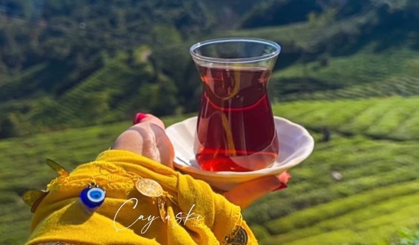 Milletvekili Çolak: ''Rize'nin çayı dünyanın en iyisi''