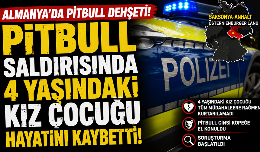 Almanya'da Pitbull Dehşeti: 4 Yaşındaki Kız Çocuğu Hayatını Kaybetti