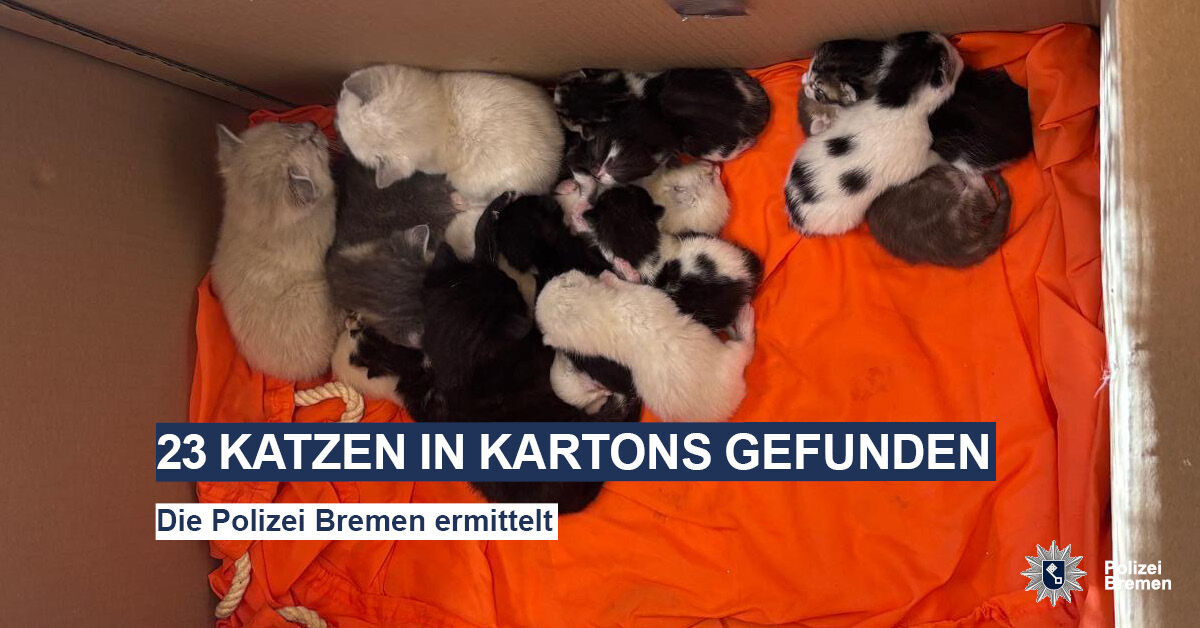 667646497 1363678852467178 1771012329967192369 N Kopyası