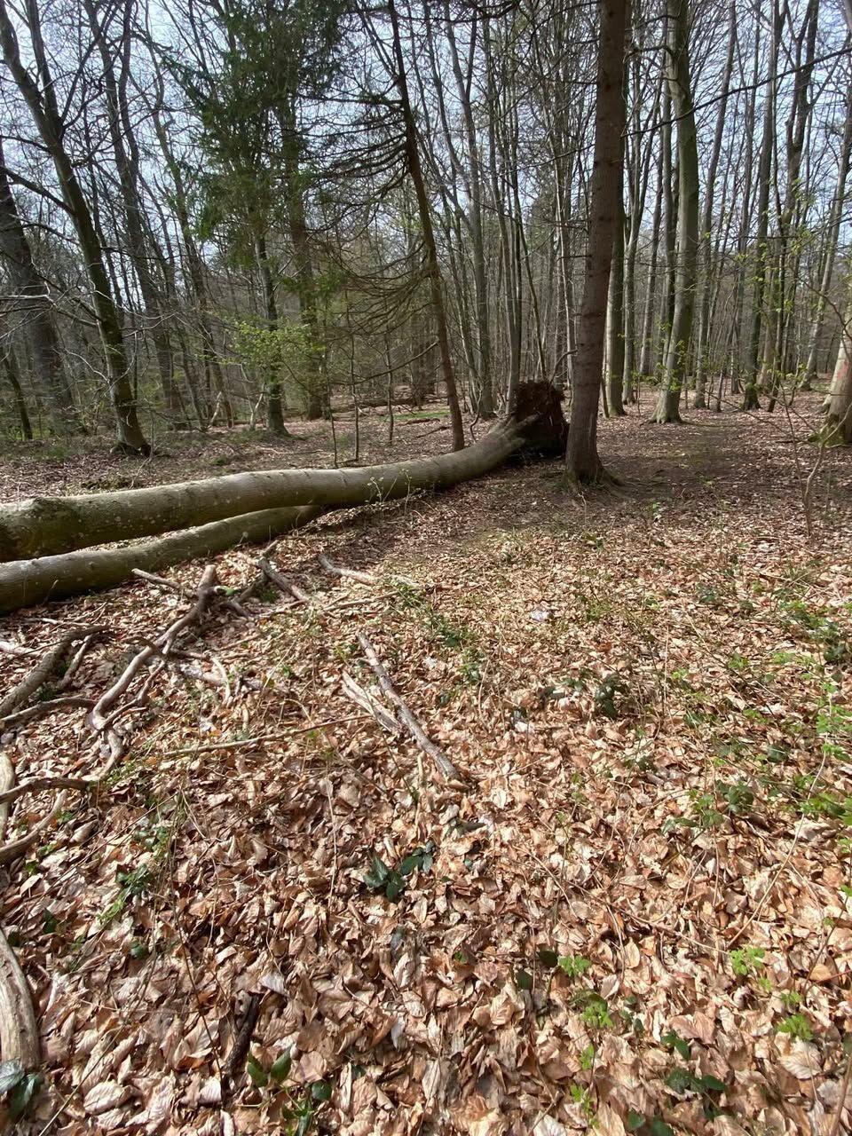 672682278 10238416866514277 4667982672491581693 N