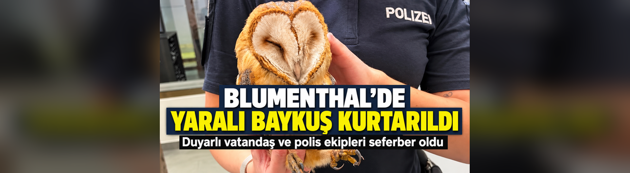 Bremen’de Yaralı Baykuş İçin Seferber Oldular
